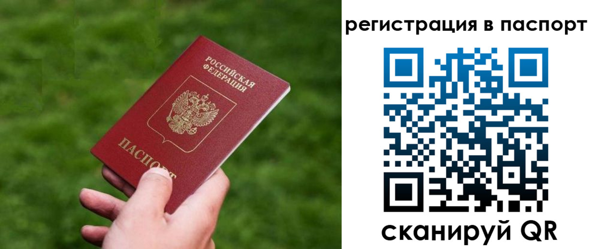 пропишу в квартире в Старой Руссе